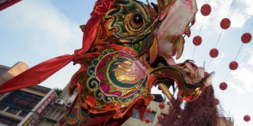 Wu Long (舞龍) Dragon Dance